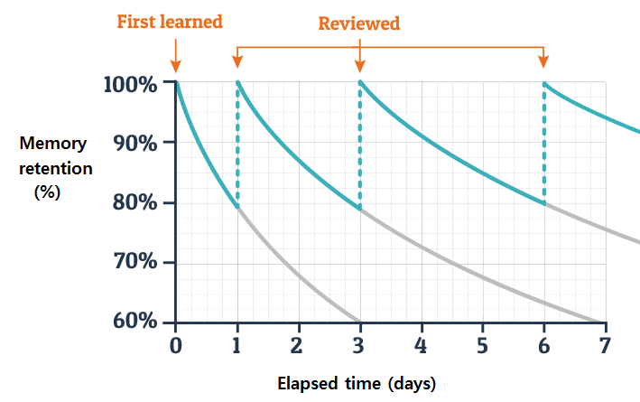 Ebbinghaus forgetting curve with review cycle: each spaced review flattens the decay, so memory lasts longer with less effort.